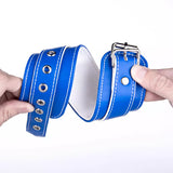 Soft Adjustable Blue PU Leather BDSM Ankle Cuffs