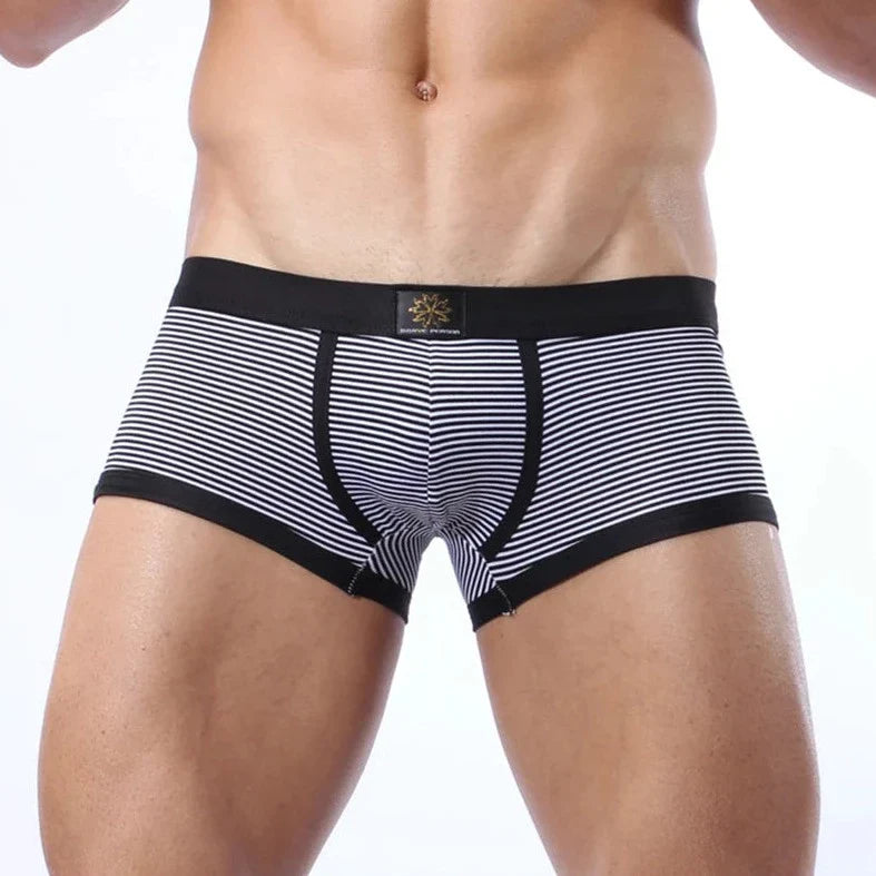 Men's Thin Stripe Lycra Boxer Briefs