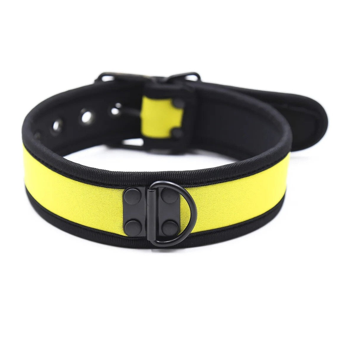 Gay Men's Puppy Collar