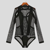 Long Sleeve Elegant Mesh Bodysuit - Sophistication Meets Allure