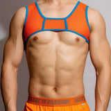 DM Men's Passion Mesh Harness - Embrace Your Allure