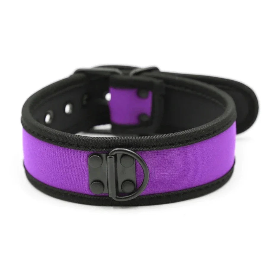 Gay Men's Puppy Collar