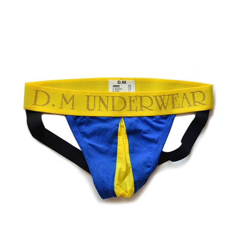 DM Ray of Light Sexy Gay Jockstrap - Dazzle and Impress