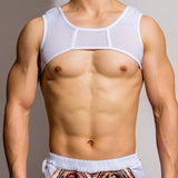 DM Men's Passion Mesh Harness - Embrace Your Allure