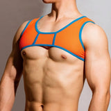 DM Men's Passion Mesh Harness - Embrace Your Allure