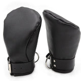 Puppy Paw Restraint Gloves