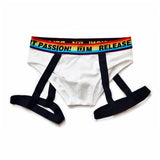 DM Rainbow Passion Garter Briefs – Stylish Design for Pride